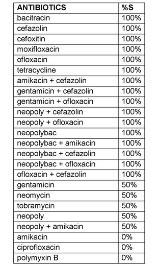 Streptococcus oralis